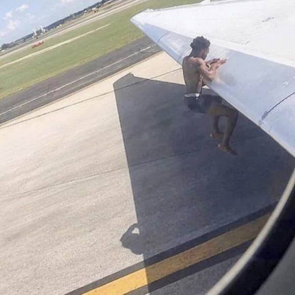 Daily Picdump