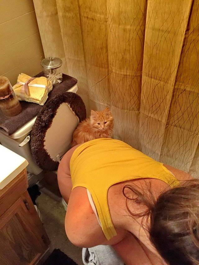 Daily Picdump