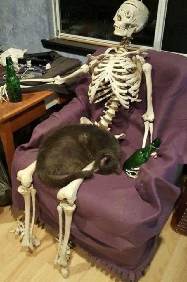 daily picdump 107 pics 2.html - 107 HD Photos | Premium Gallery 2018