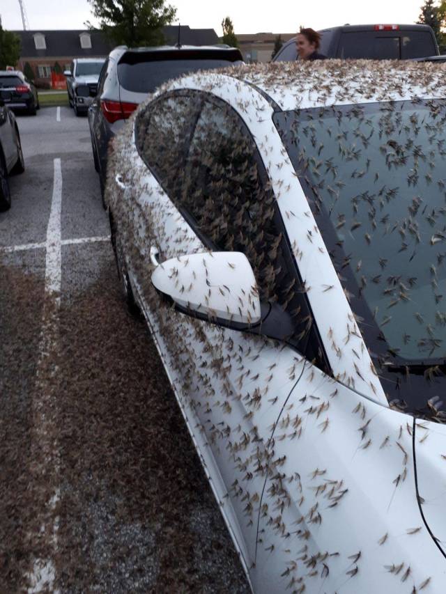 daily picdump 107 pics 2.html - 107 HD Photos | Premium Gallery 2018