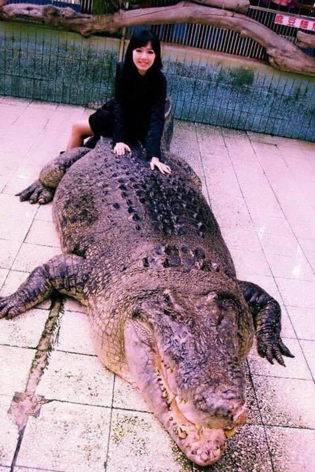 daily picdump 107 pics 2.html - 107 HD Photos | Premium Gallery 2018