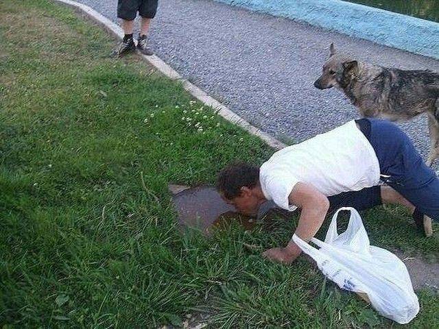 daily picdump 98 pics 12.html - 98 HD Photos | Premium Gallery 2018