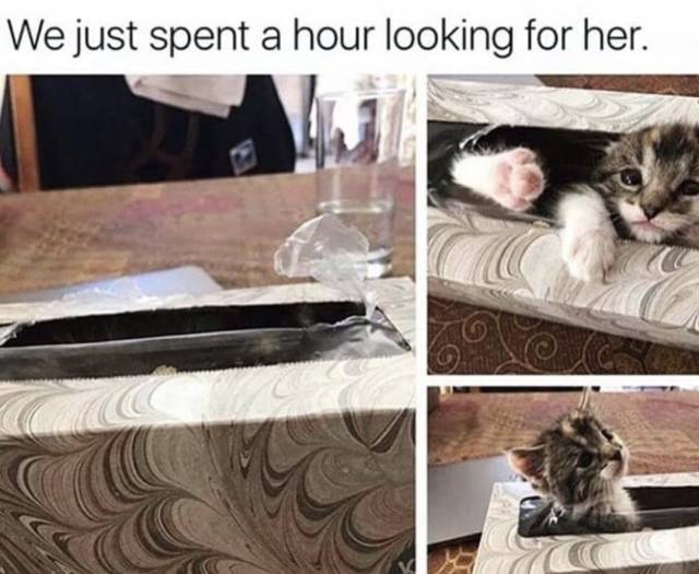 Funny Picdump