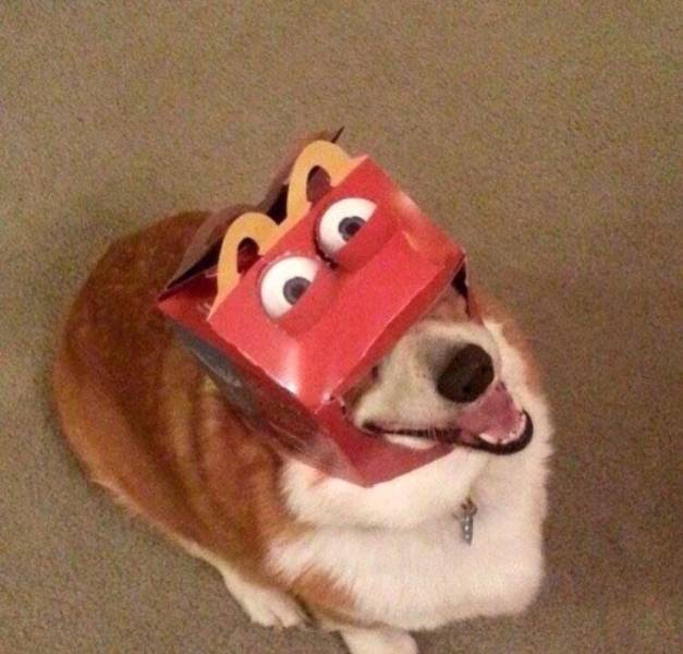 morning picdump 49 pics 2.html - 49 HD Photos | Premium Gallery 2018