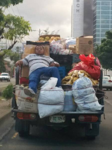funny picdump 51 pics 14.html - 51 HD Photos | Premium Gallery 2018