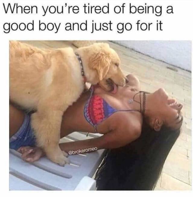 funny picdump 51 pics 14.html - 51 HD Photos | Premium Gallery 2018
