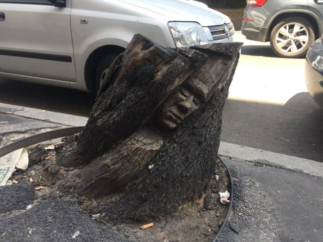 morning picdump 51 pics 9.html - 51 HD Photos | Premium Gallery 2018