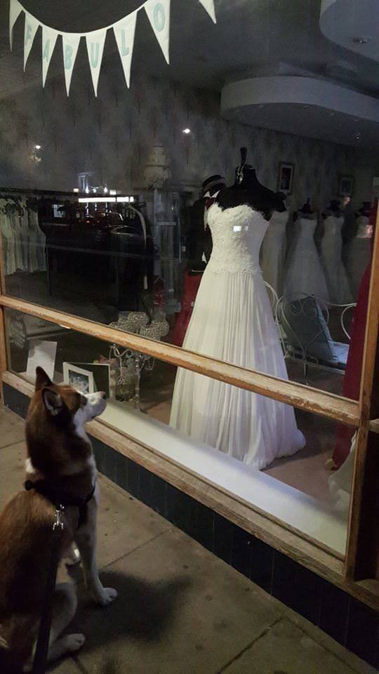 morning picdump 51 pics 9.html - 51 HD Photos | Premium Gallery 2018