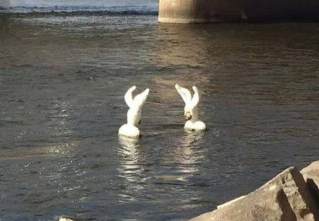 daily picdump 98 pics 43.html - 98 HD Photos | Premium Gallery 2018