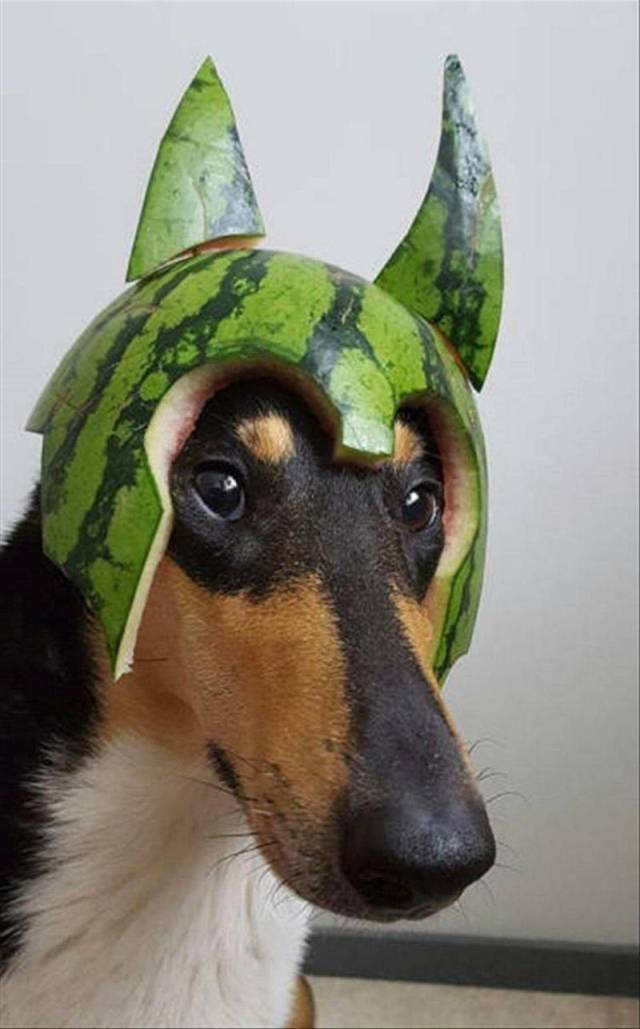 daily picdump 98 pics 43.html - 98 HD Photos | Premium Gallery 2018
