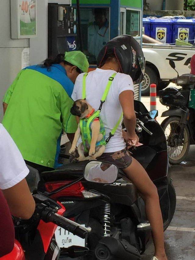 daily picdump 98 pics 43.html - 98 HD Photos | Premium Gallery 2018