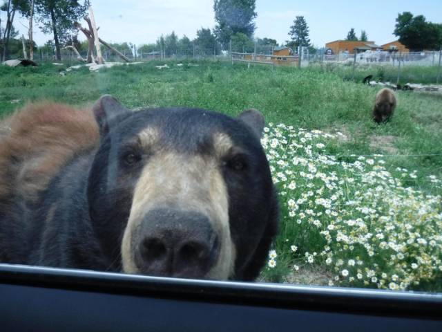 Daily Picdump