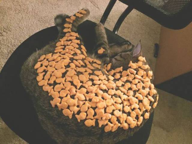 daily picdump 101 pics 10.html - 101 HD Photos | Premium Gallery 2018
