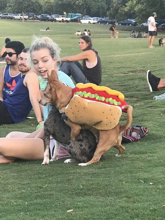 daily picdump 101 pics 10.html - 101 HD Photos | Premium Gallery 2018