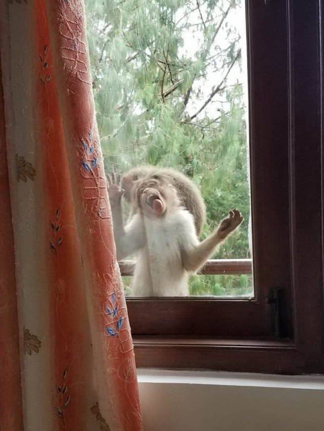 daily picdump 101 pics 10.html - 101 HD Photos | Premium Gallery 2018