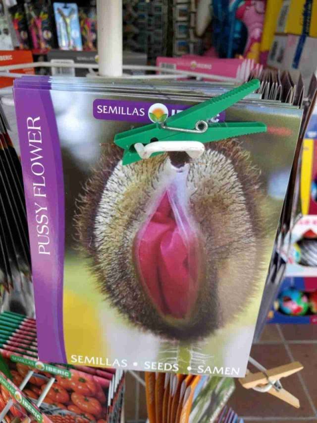 grownup corner 61 pics 23.html - 61 HD Photos | Premium Gallery 2018