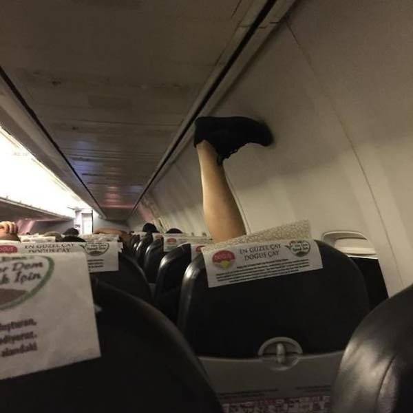 daily picdump weekend edition 63 pics 21.html - 63 HD Photos | Premium Gallery 2018
