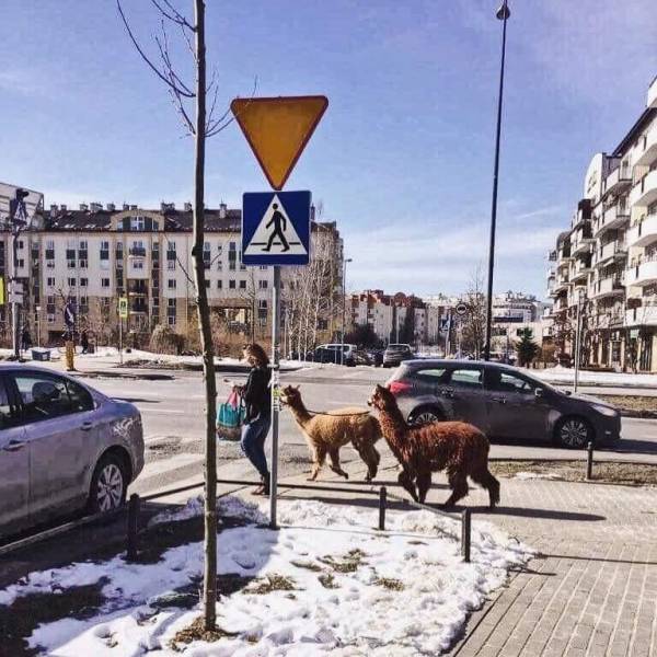 Daily Picdump