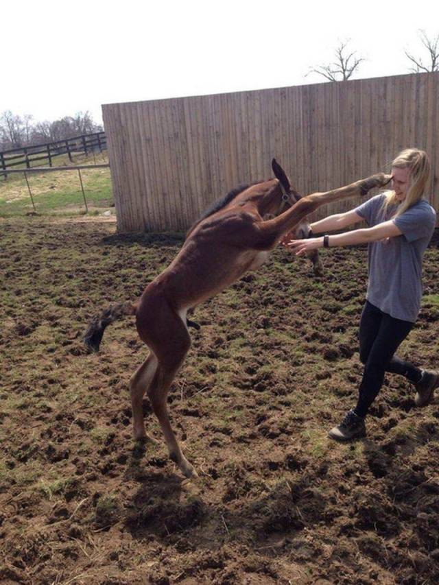 Daily Picdump