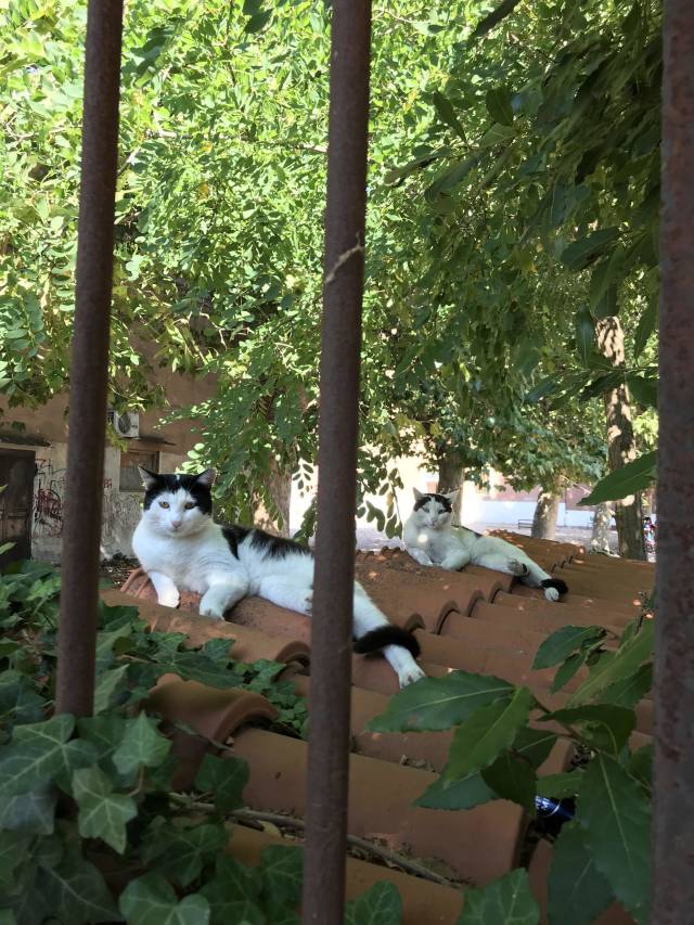 morning picdump 53 pics 14.html - 53 HD Photos | Premium Gallery 2018