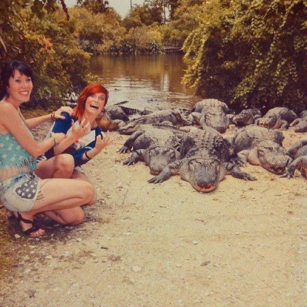Daily Picdump