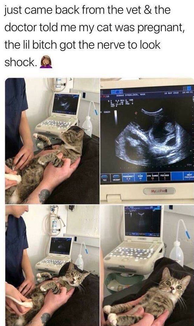 funny picdump 59 pics 20.html - 59 HD Photos | Premium Gallery 2018
