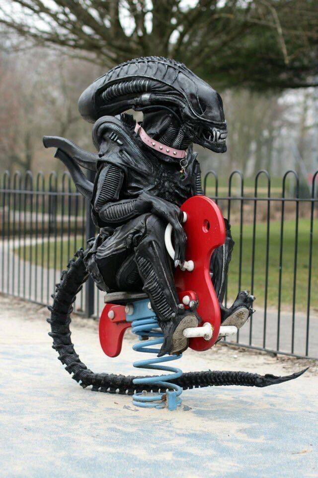 funny picdump 59 pics 20.html - 59 HD Photos | Premium Gallery 2018