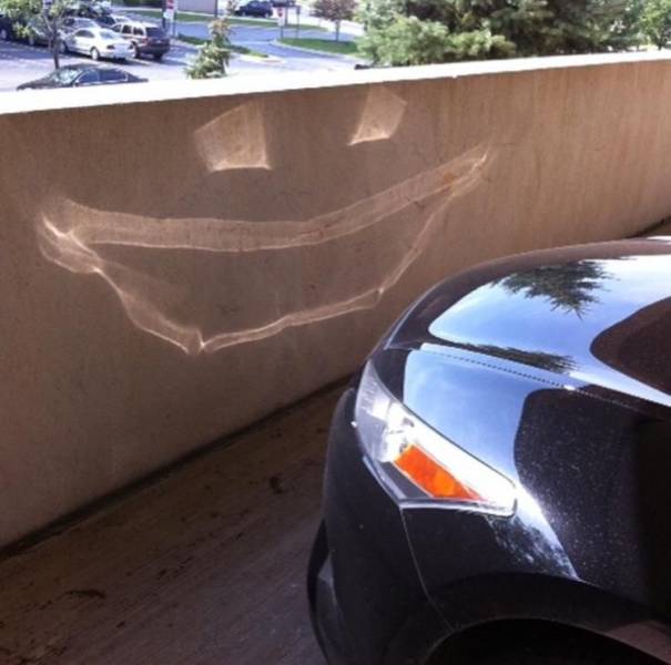 Daily Picdump