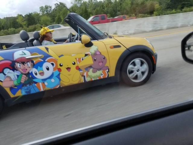 Daily Picdump