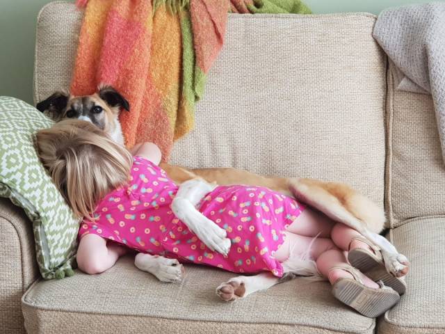 daily picdump 95 pics 12.html - 95 HD Photos | Premium Gallery 2018
