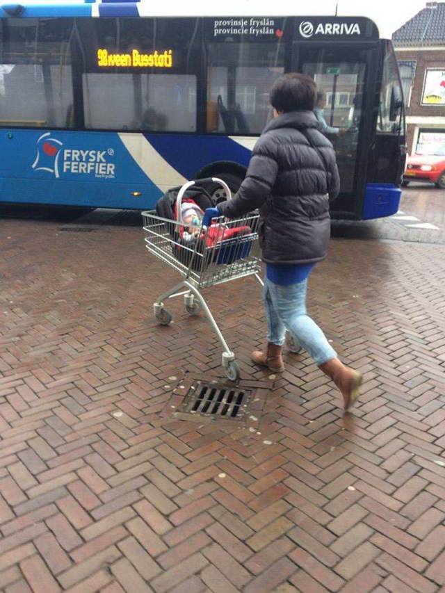 Daily Picdump