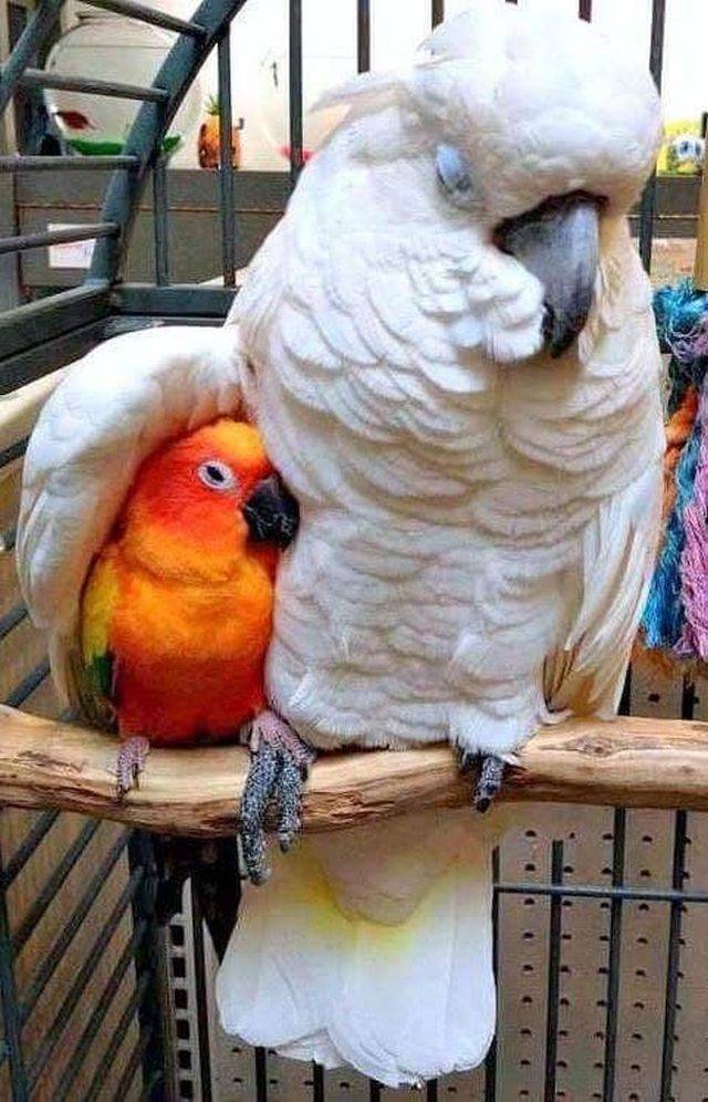 Daily Picdump