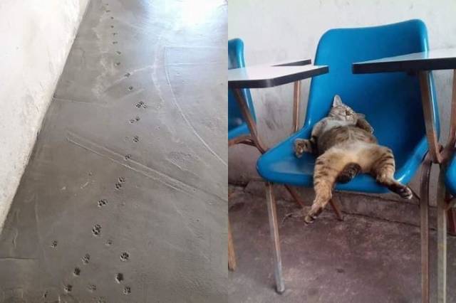 Morning Picdump
