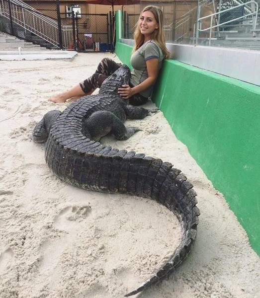 Daily Picdump [WEEKEND EDITION]