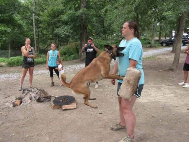 Daily Picdump