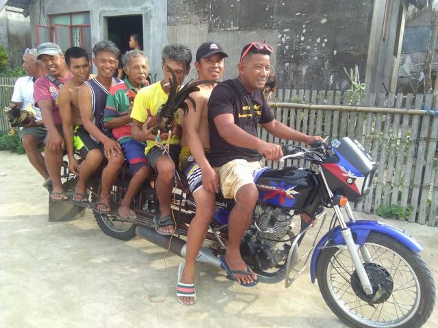 daily picdump 92 pics 33.html - 92 HD Photos | Premium Gallery 2018