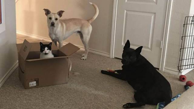 daily picdump 92 pics 33.html - 92 HD Photos | Premium Gallery 2018