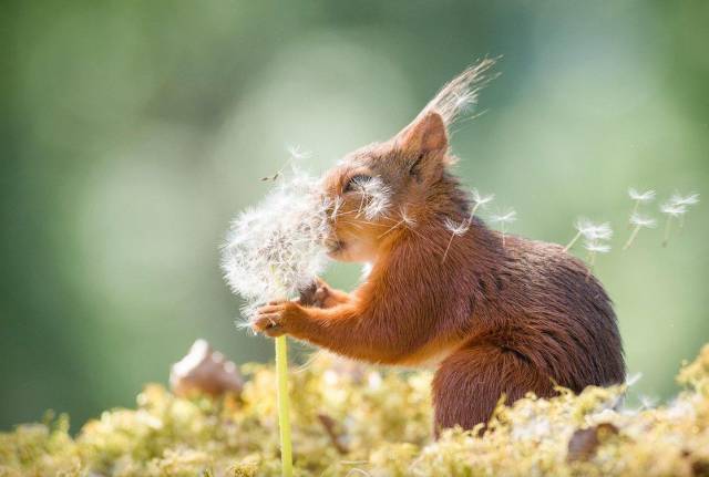 daily picdump 92 pics 33.html - 92 HD Photos | Premium Gallery 2018