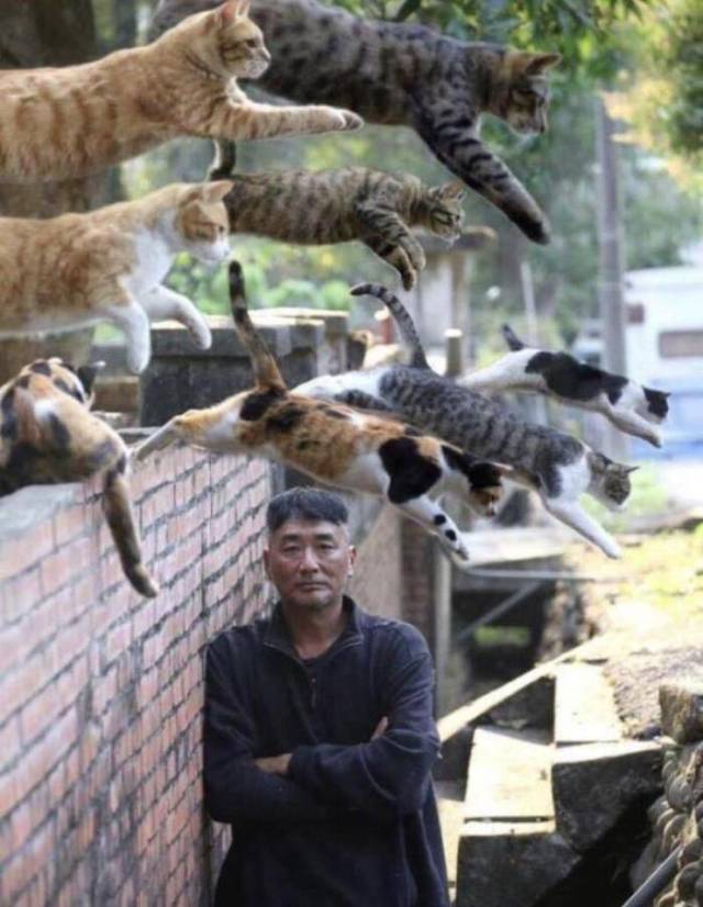 daily picdump 92 pics 33.html - 92 HD Photos | Premium Gallery 2018