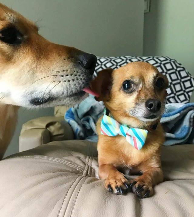 daily picdump 92 pics 33.html - 92 HD Photos | Premium Gallery 2018