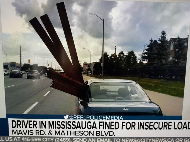 morning picdump 56 pics 56.html - 56 HD Photos | Premium Gallery 2018