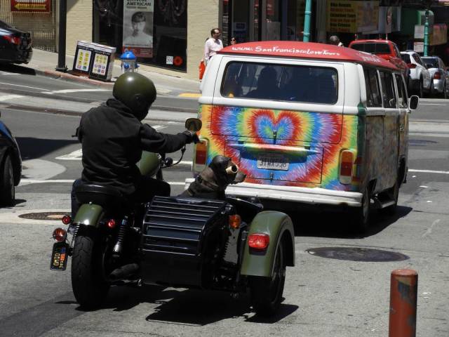 morning picdump 56 pics 56.html - 56 HD Photos | Premium Gallery 2018