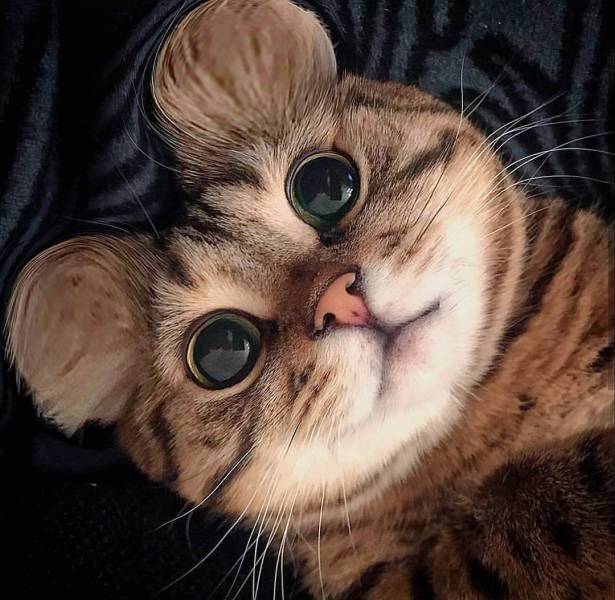 morning picdump 56 pics 56.html - 56 HD Photos | Premium Gallery 2018