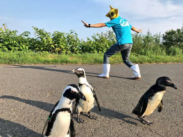 morning picdump 56 pics 56.html - 56 HD Photos | Premium Gallery 2018