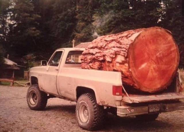 morning picdump 56 pics 56.html - 56 HD Photos | Premium Gallery 2018