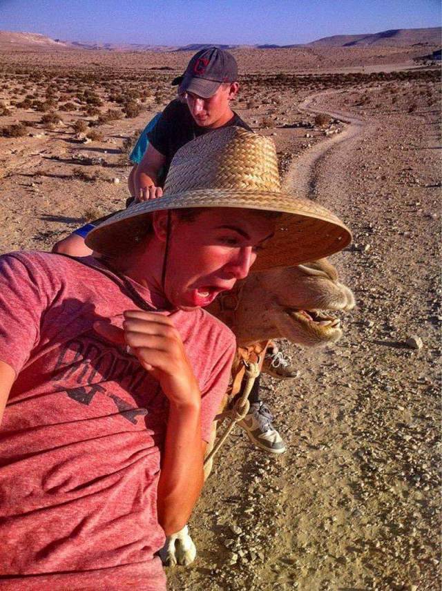 morning picdump 56 pics 56.html - 56 HD Photos | Premium Gallery 2018