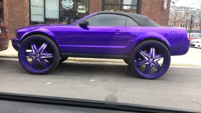 daily picdump 91 pics 11.html - 91 HD Photos | Premium Gallery 2018