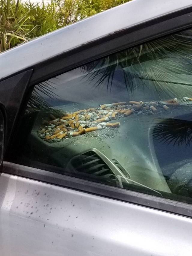 daily picdump weekend edition 63 pics 28.html - 63 HD Photos | Premium Gallery 2018