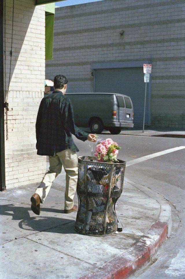 daily picdump weekend edition 63 pics 28.html - 63 HD Photos | Premium Gallery 2018