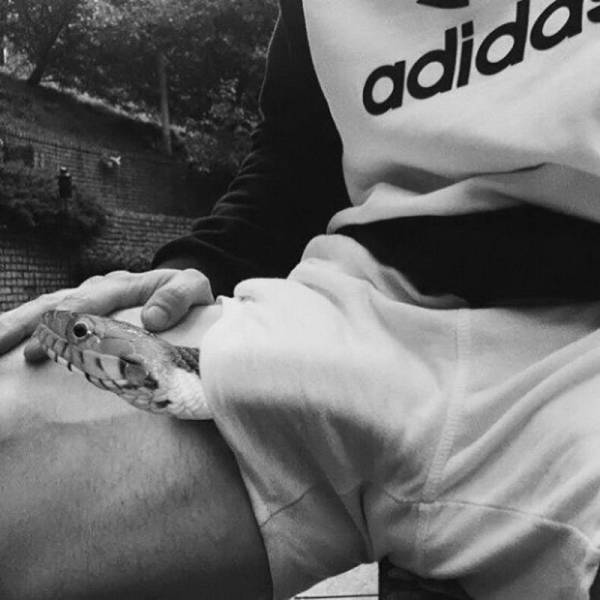 daily picdump 100 pics 45.html - 100 HD Photos | Premium Gallery 2018